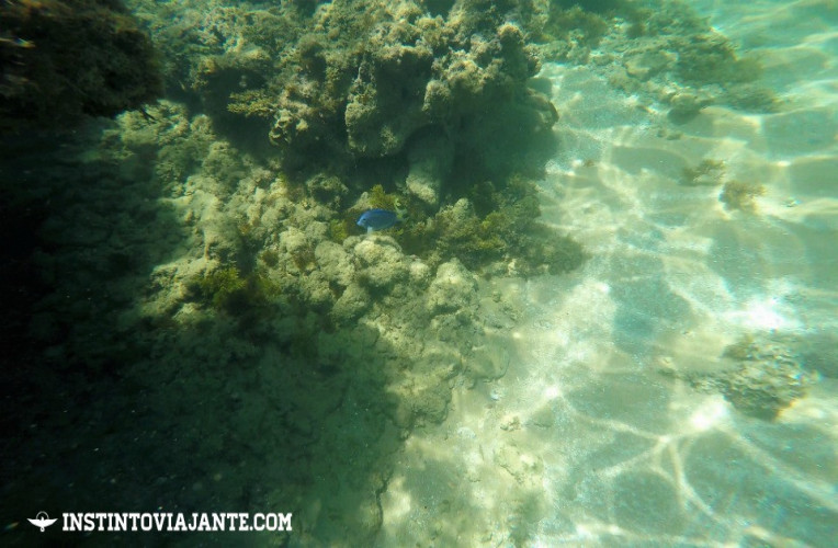 taipu de fora peninsula de marau bahia guia de viagem1